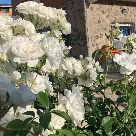 Casa Balta Casa vacanze Ávila