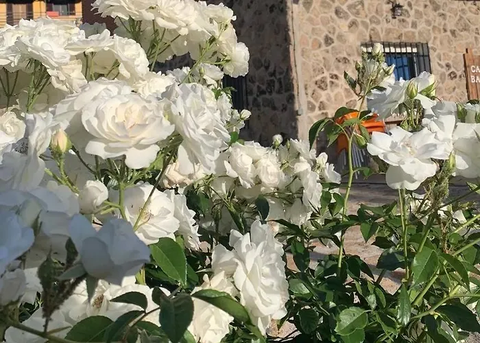 Casa Balta Hébergement de vacances Ávila